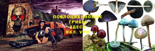 mdpv Волоколамск
