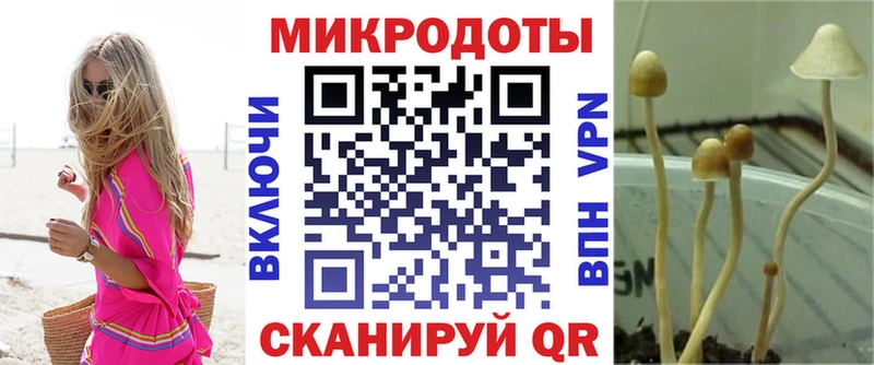 Галлюциногенные грибы мицелий  кракен зеркало  Истра  цены  